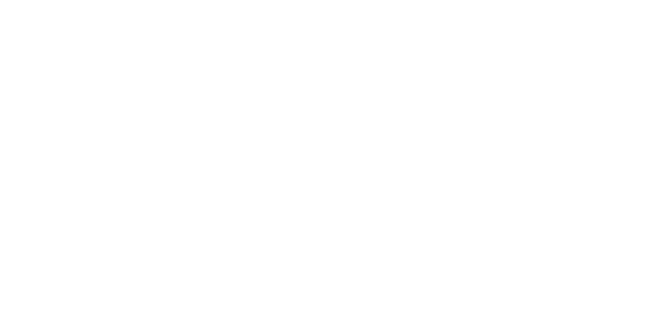 fog system logo