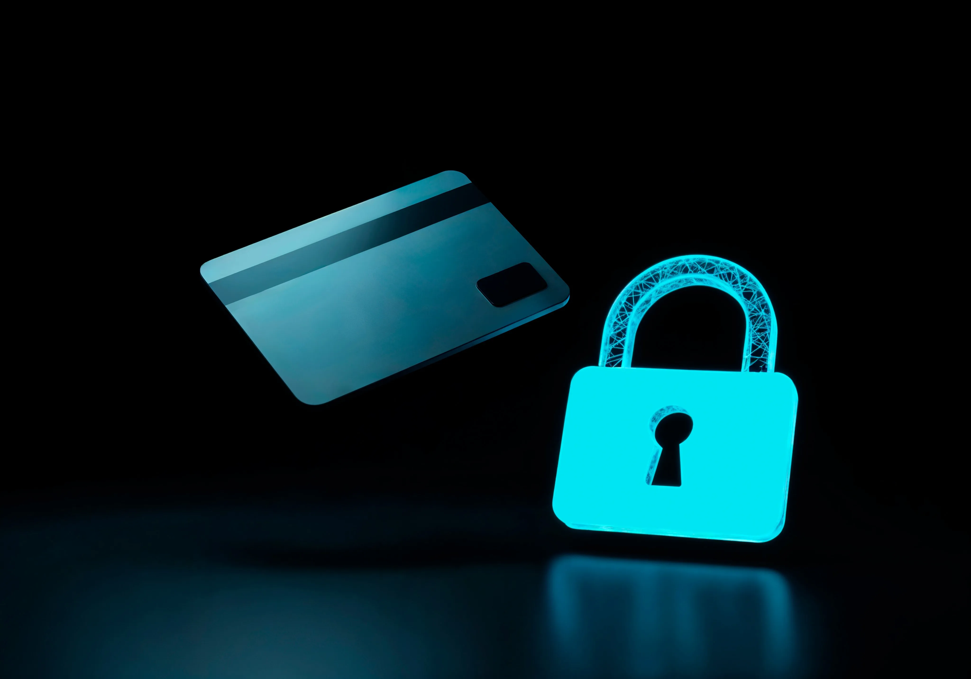 Secure Checkout