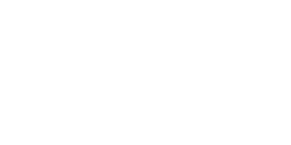 the drag shoes logo